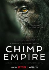 Imperium szympansów